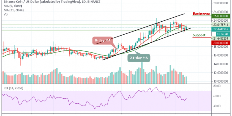 BNBUSD - Günlük Grafik