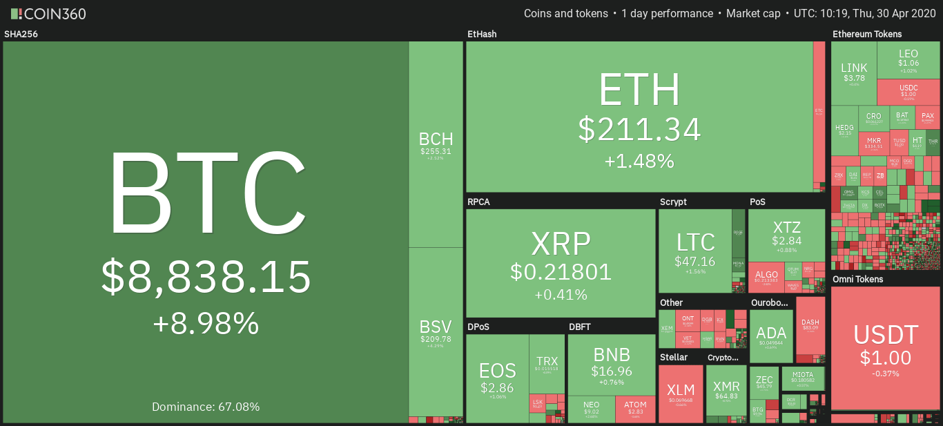 Cryptocurrency market daily overview